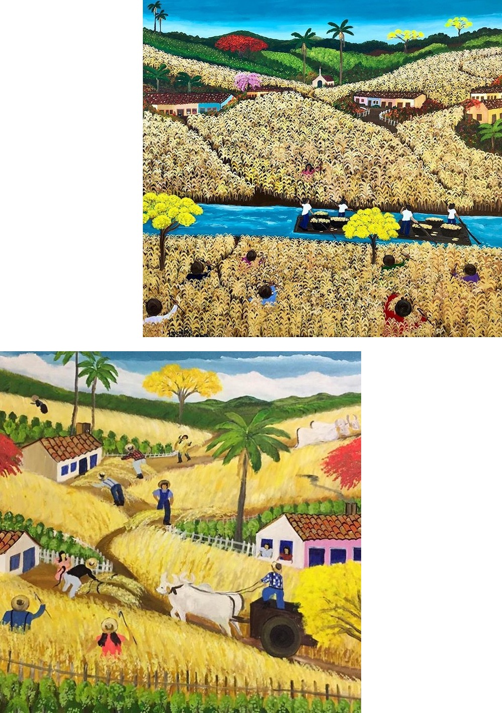 Lourdes de Deus: Riacho na fazenda e Roça