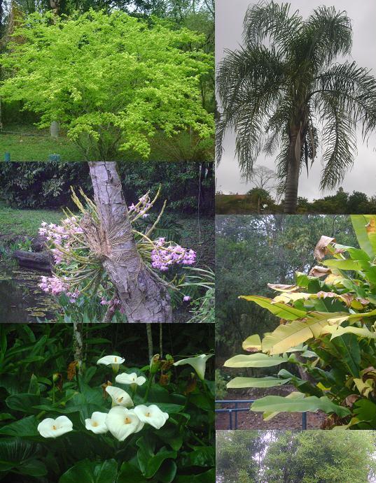 Vive le printemps: Il faut cultiver son jardin