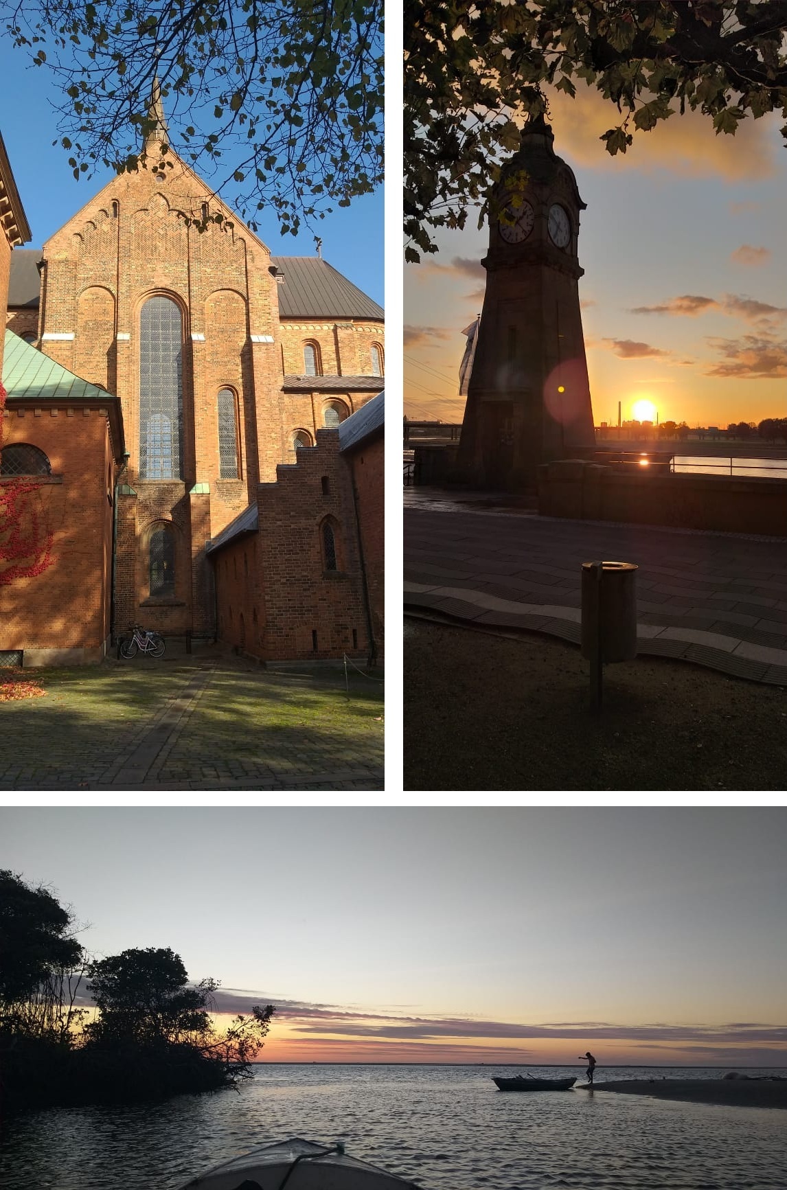 Viagens recentes de Rossana Araújo