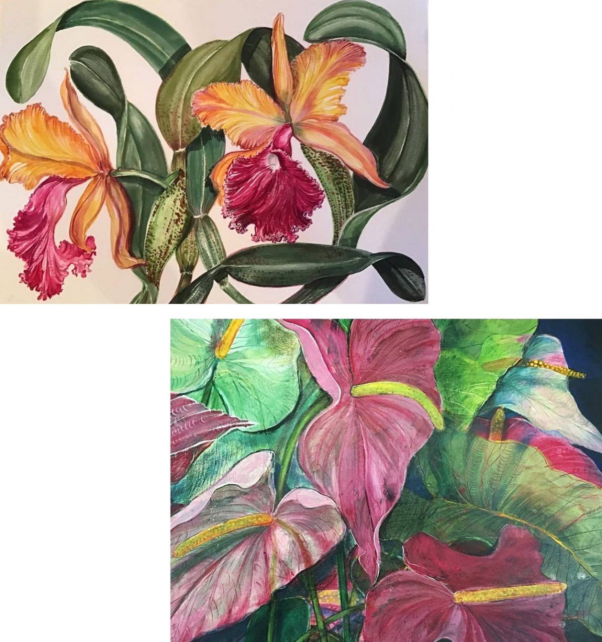 Luis Antonelli: Flores trazendo luz para a quarentena e Antúrios e seus detalhes