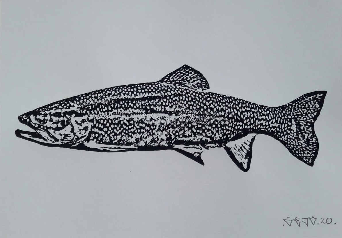 Gejo, O Maldito: Truta da tiragem