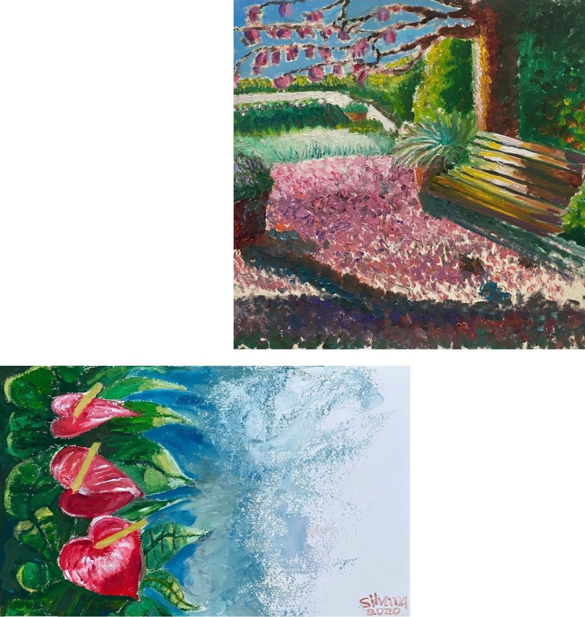 Silvana dos Santos Pereira: My garden e Flowers from my garden