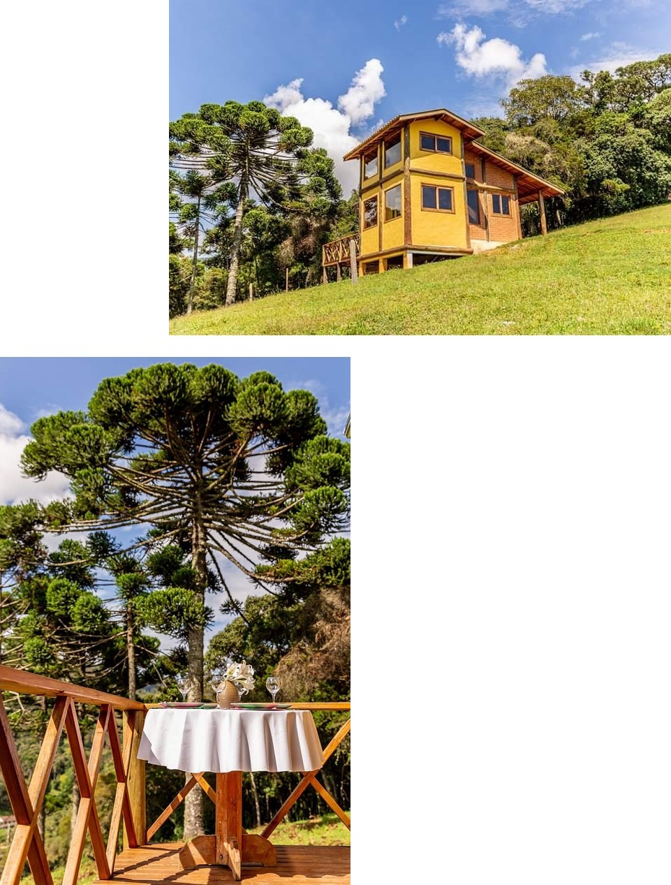 Fernanda Fonseca: Natureza de Gonçalves – MG