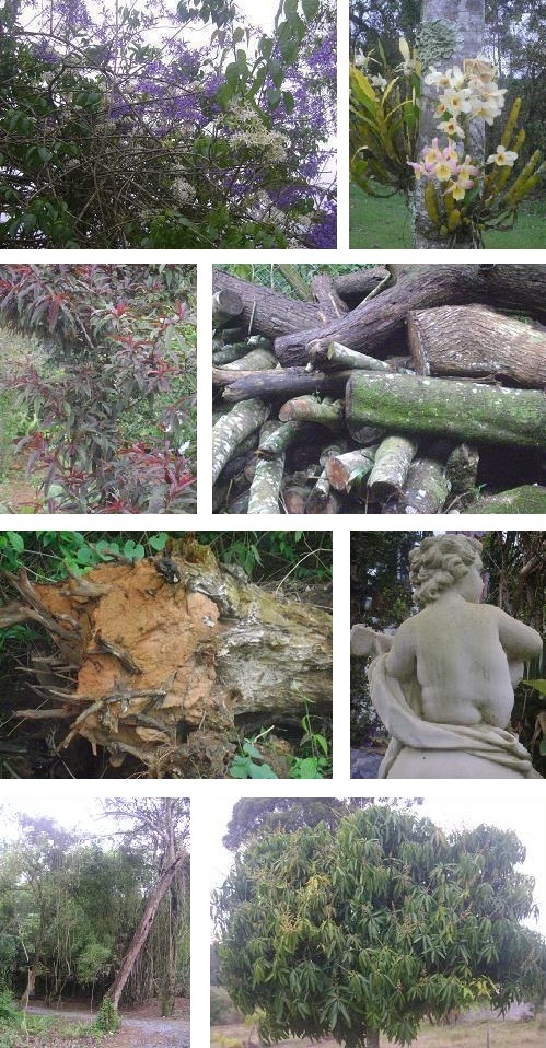 Vivez le printemps qui commence aujourd’hui. Sauver!