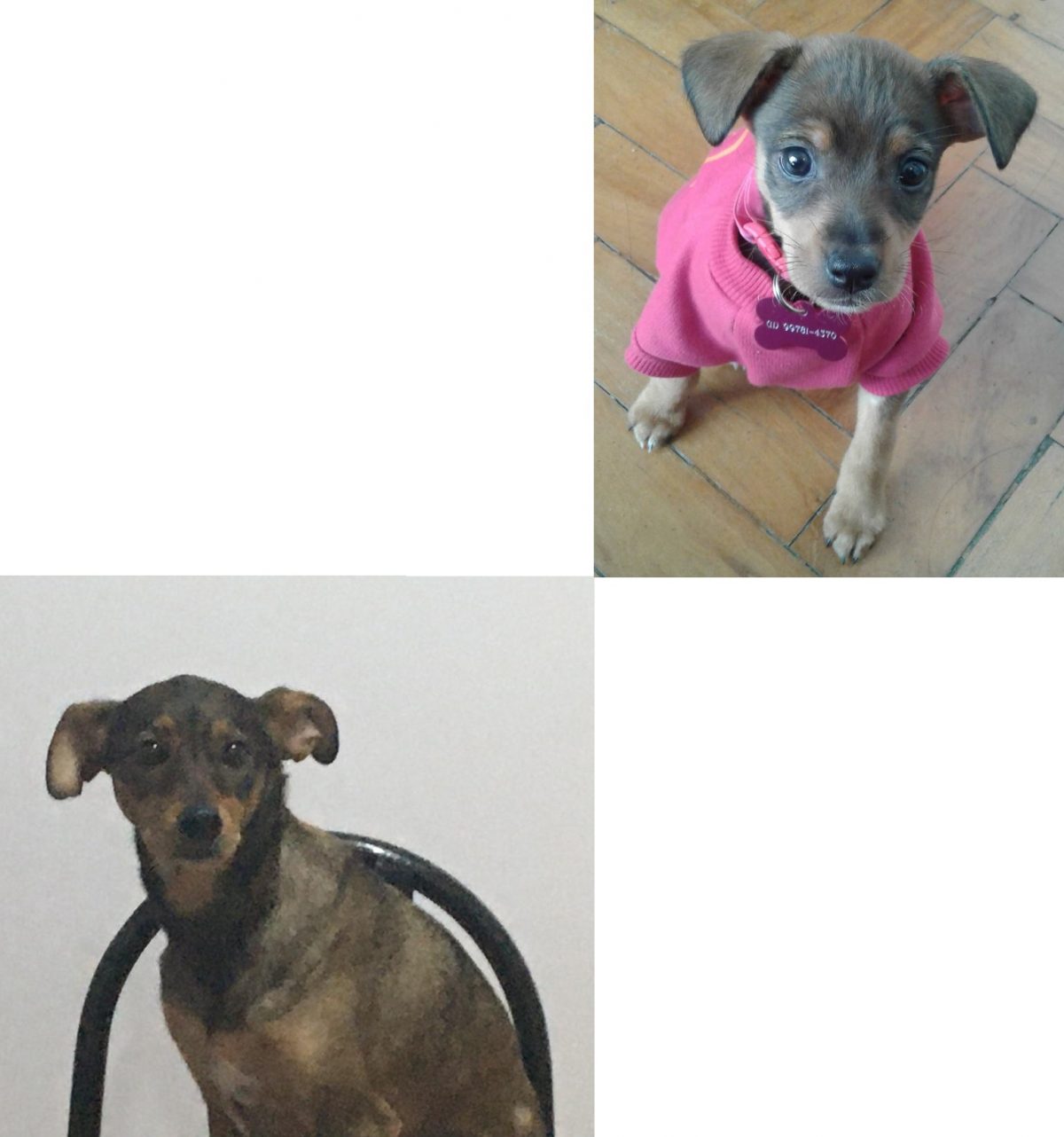 4 anos da Poke, parabéns!