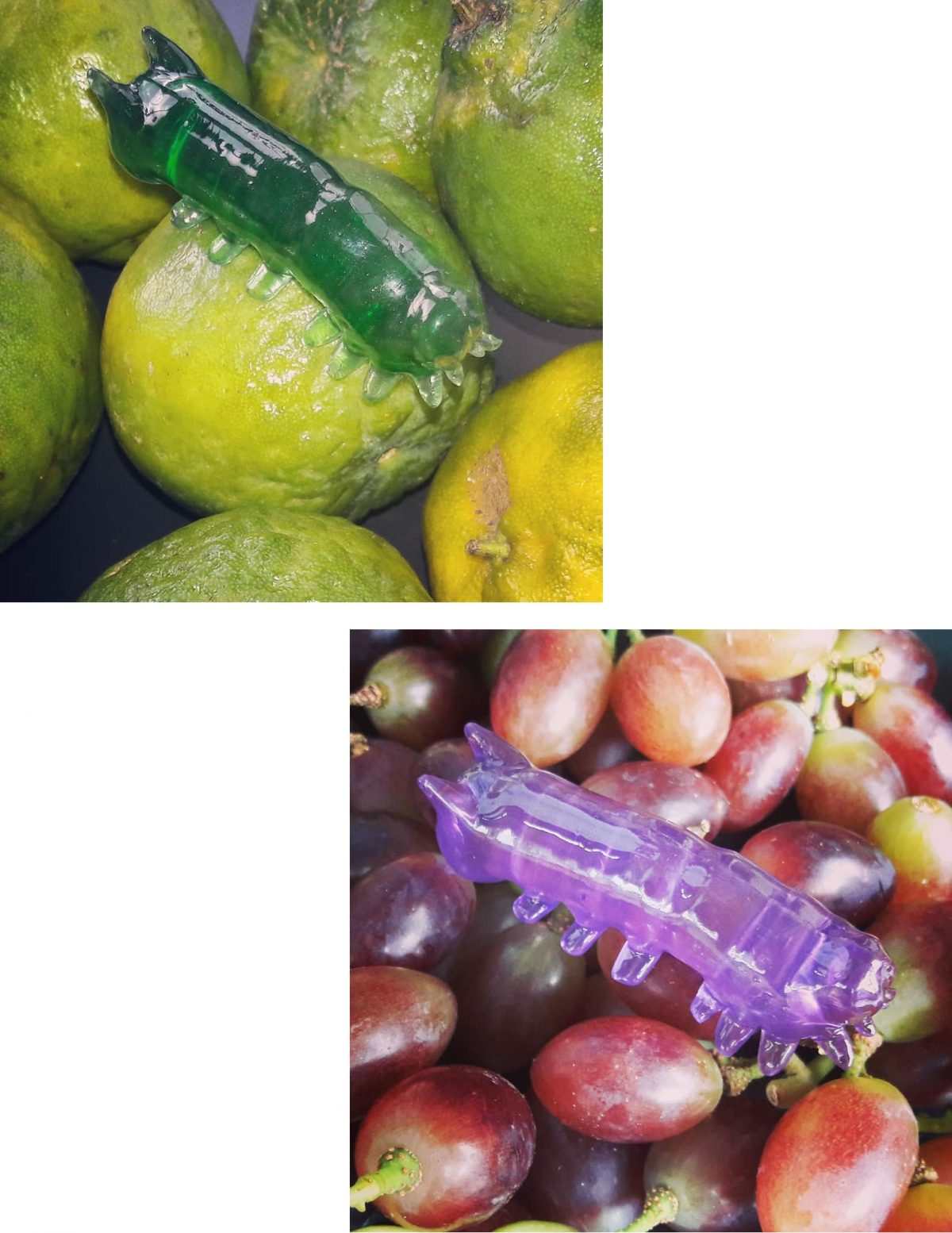 Projeto Tatoyranas: Parceria criativa de Gejo, O Maldito