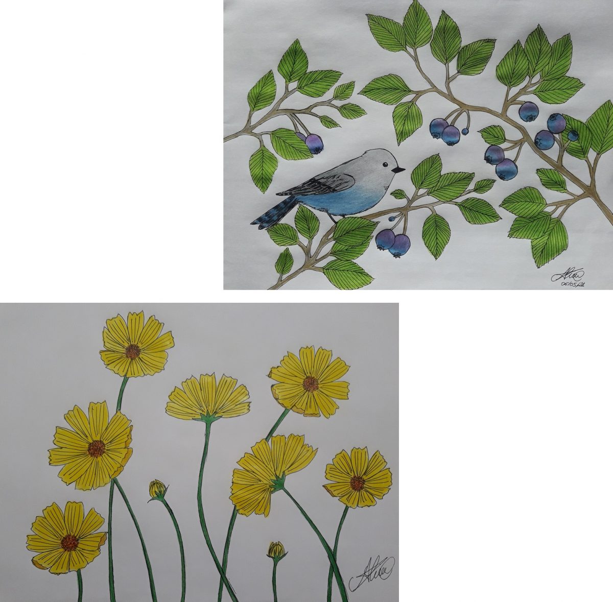 Aline Kawano: Do Facebook, Comunidade “Be a Leader”, para o blog