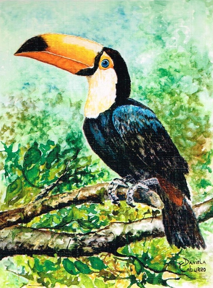 Daniela Cristina Caburro: Associação dos Pintores com a Boca e os Pés (APBP)