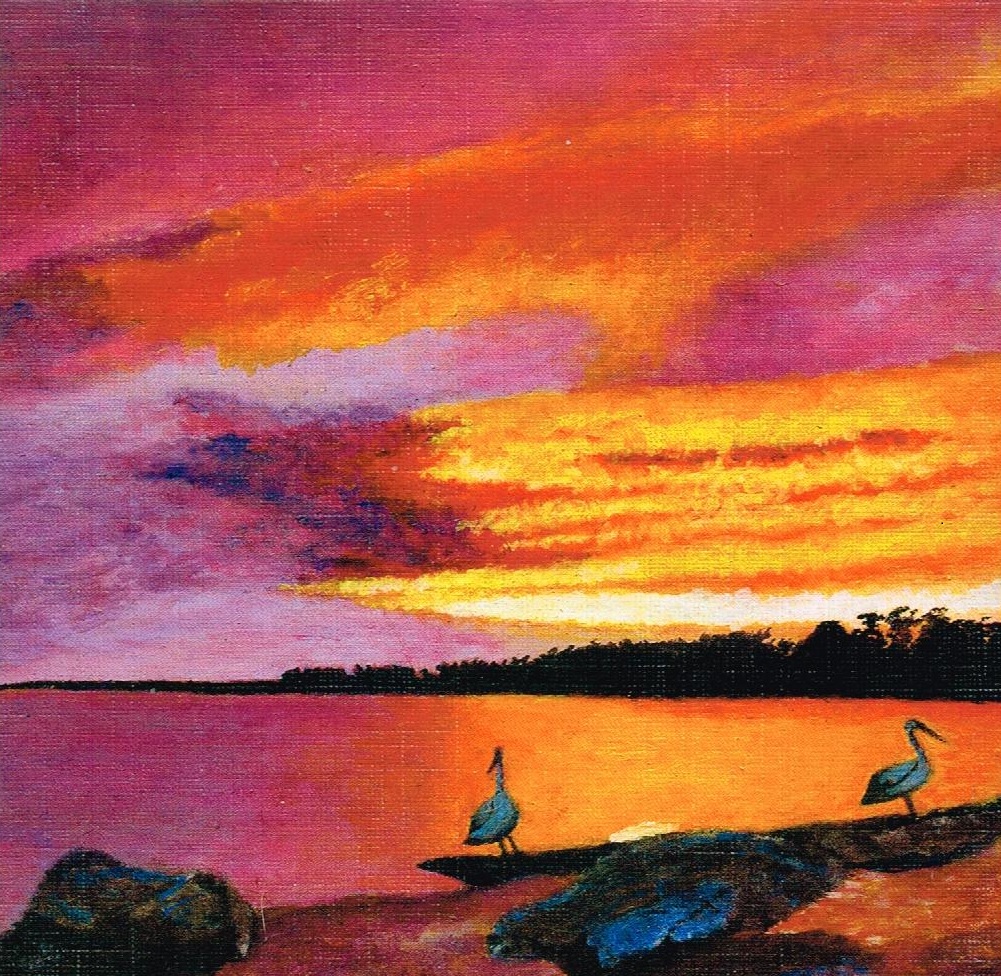 João Paulo da Silva Fontenele: Associação dos Pintores com a Boca e os Pés (APBP)