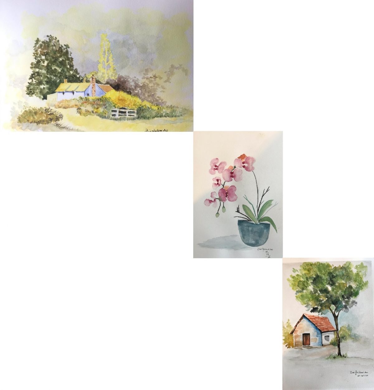 Aquarelas da prima Bia Mattosinho