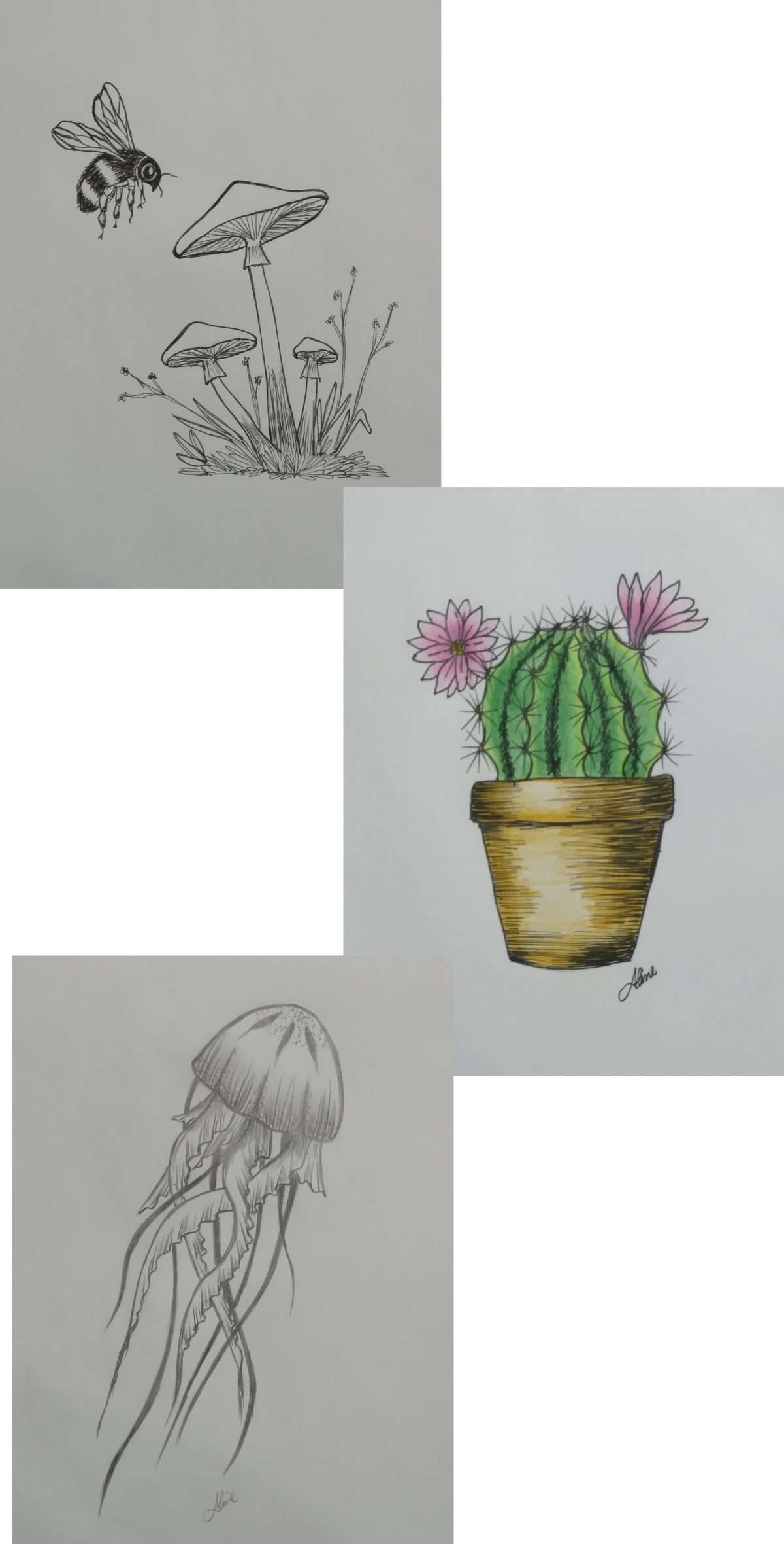 Aline Kawano: Novos trabalhos