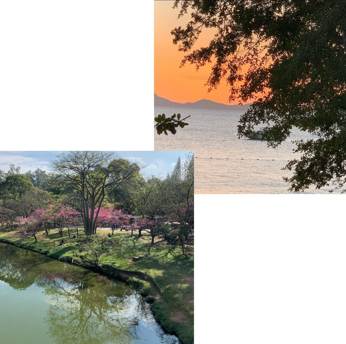 Fernanda Fonseca: Suas viagens em retratos