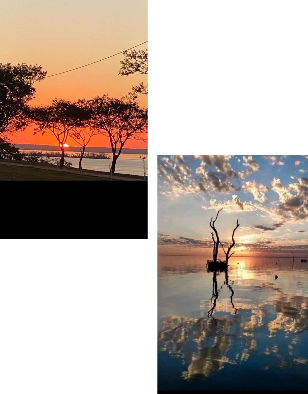 Brindemos ao Outono que se inicia hoje