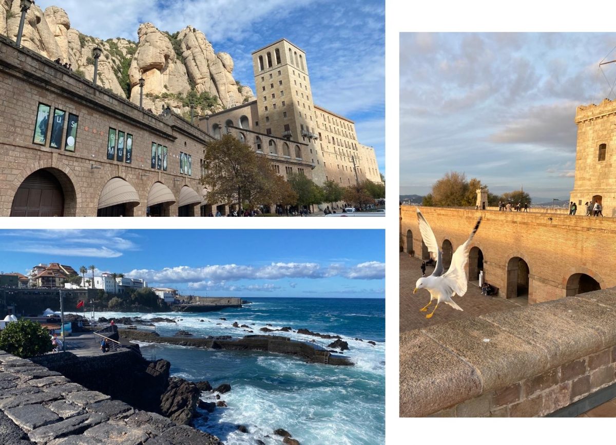 Rossana Araújo: Novas fotos