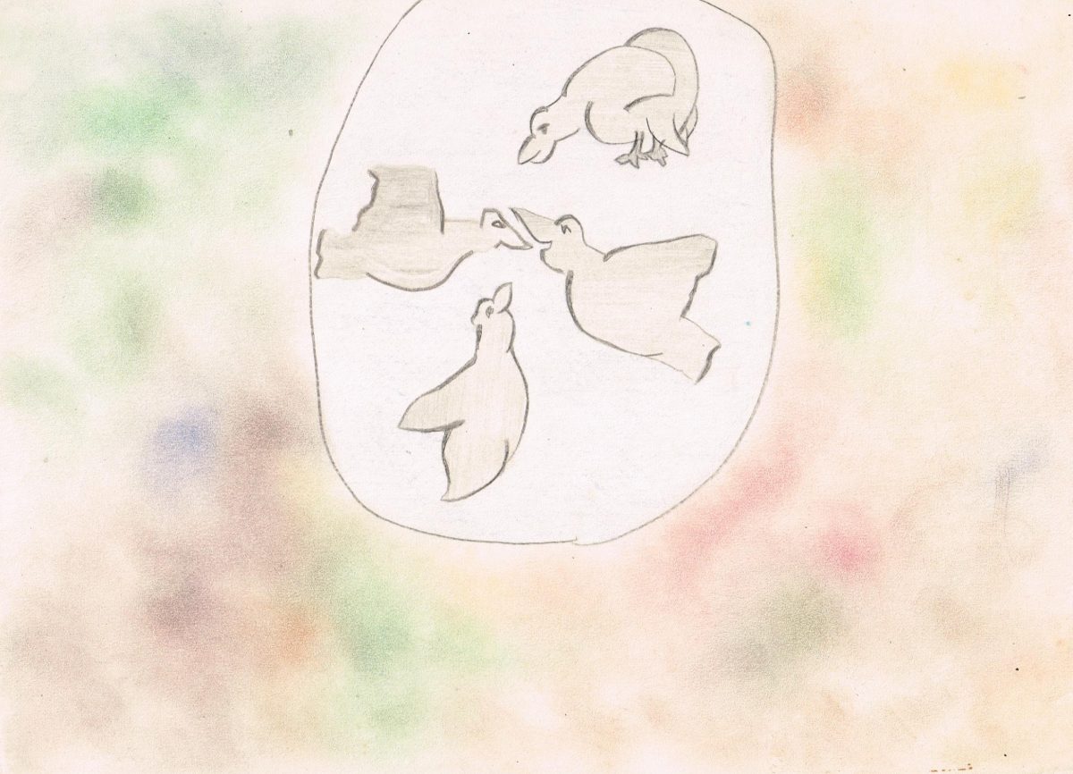 Encontro de pássaros