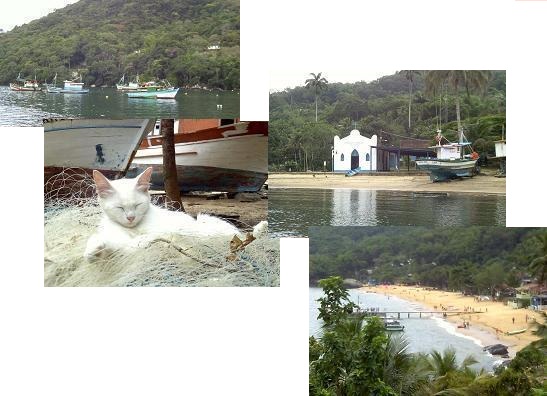 Beto Kabelo escreve sobre a Ilha Grande