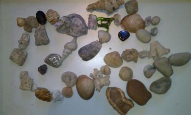 Montagem com conchas e outros materiais feitas por João Alexandre 2