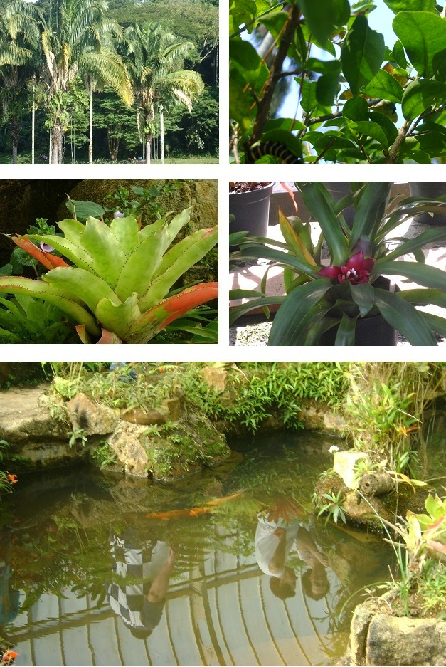 Vivas à primavera em 4 línguas