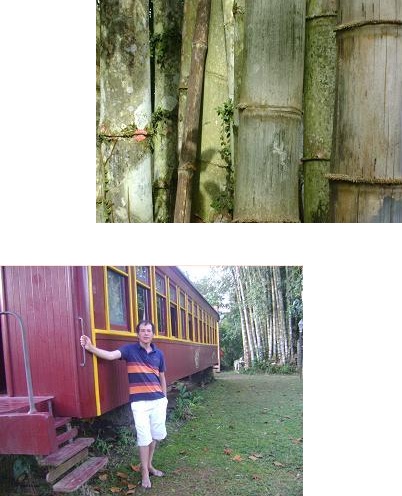 Recuerdo de la estación del sol – 2014