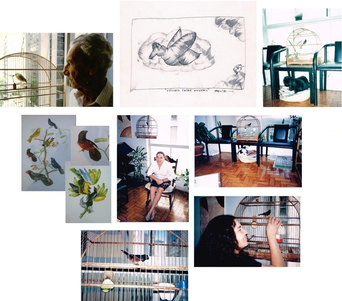 Martim, Tim, Sinhô, Nico, Nenê – Tantos pássaros (E a cachorinha Tootsie e sua amiguinha Jade)