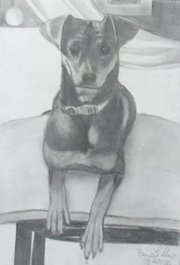 Novo desenho da Poke por Beno Filho