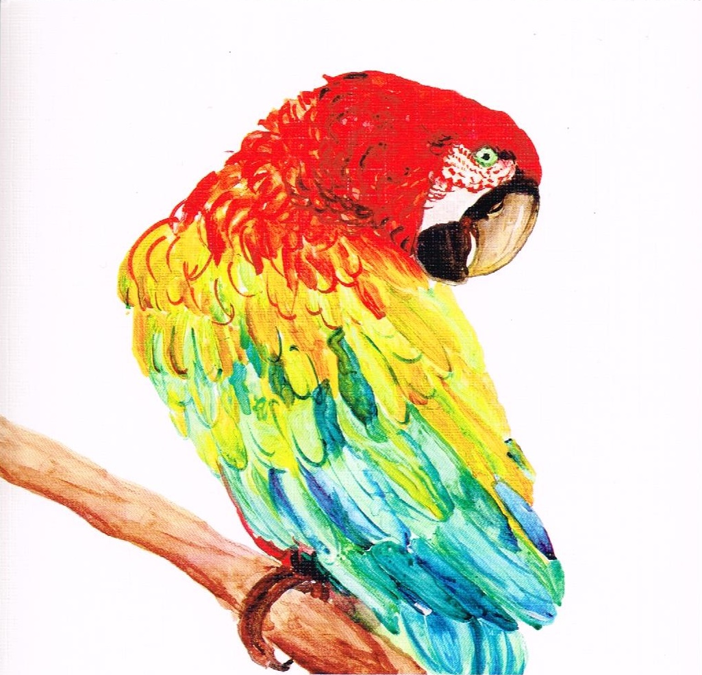 José Henrique Breda: Associação dos Pintores com a Boca e os Pés (APBP)