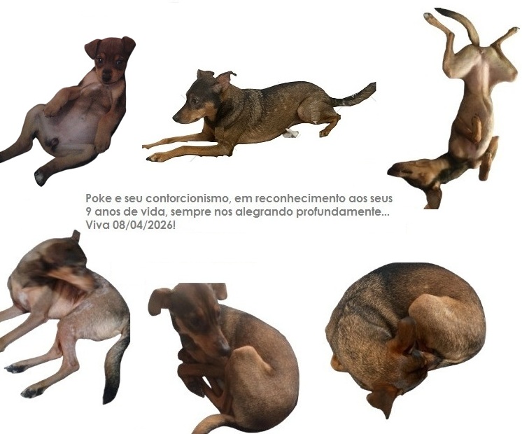 Sapeca, como a chama o João, 9 anos…