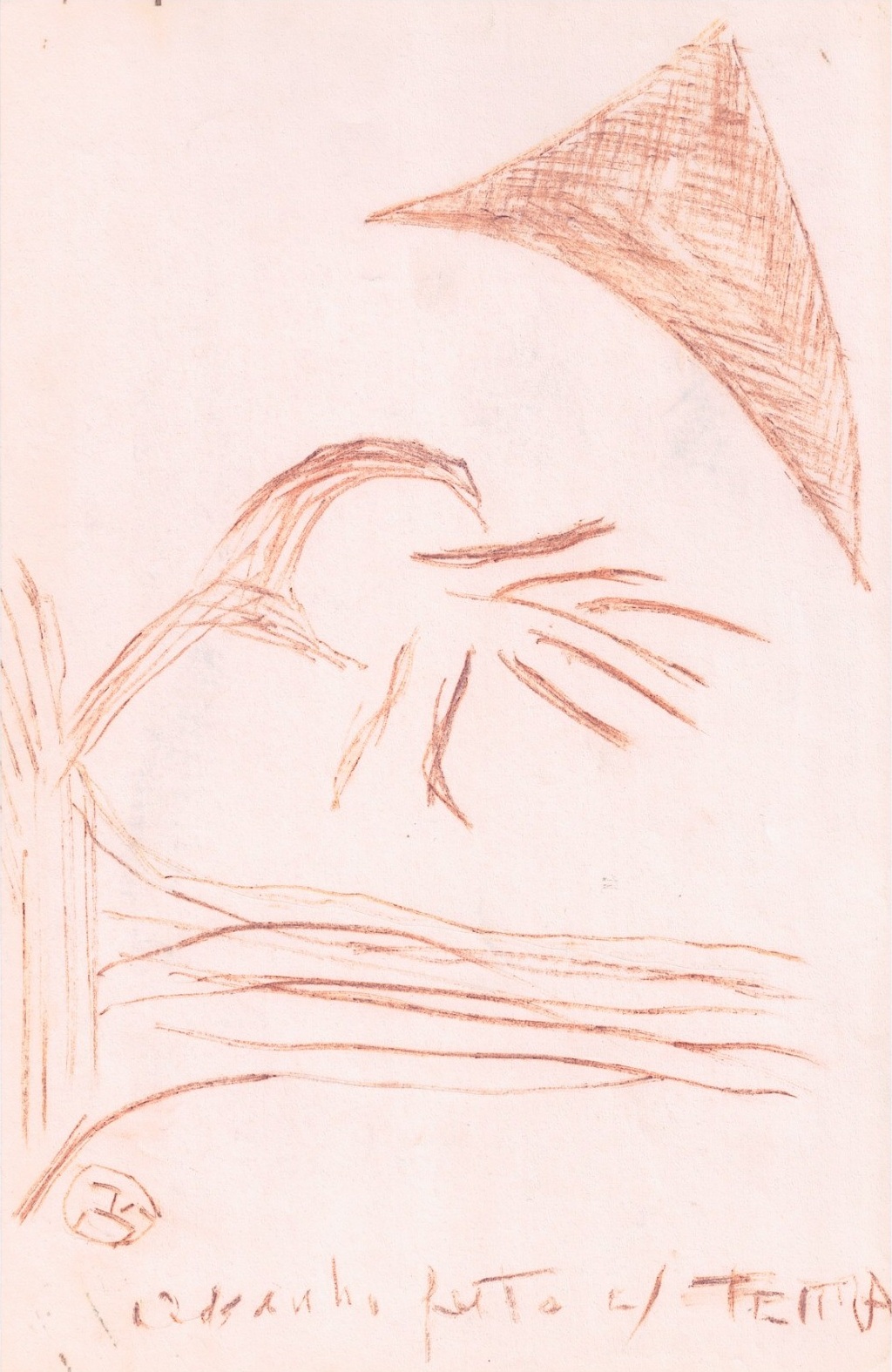 Desenho feito com terra