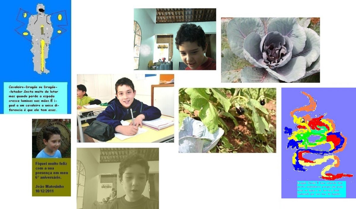 Cavaleiro, João Alexandre em 4 momentos, hortaliças plantadas por meu filho no sítio e dragão